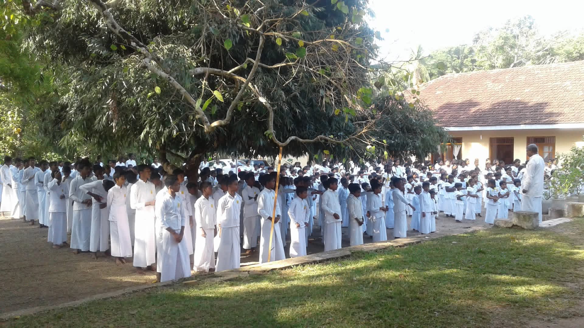 Dhamma School Image